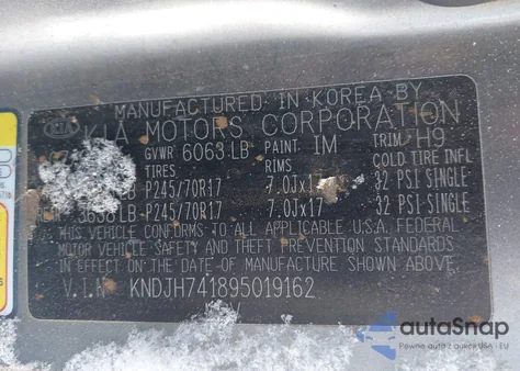 2009 Kia Borrego Ex V6 z USA, uszkodzony, nr VIN KNDJH741895019162